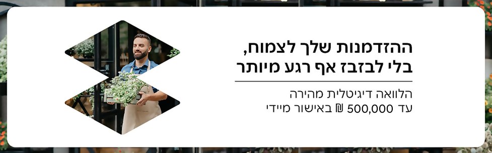 הלוואות לעסקים